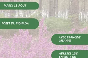 A la découverte des plantes sauvages, médicinales et comestibles avec Francine