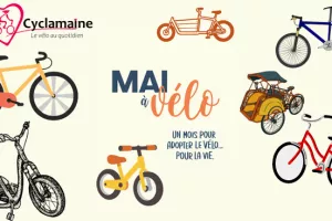 Balades en ville - Curieuz'Mans