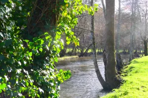 Histoire d'eau