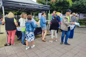 Marché de Lamballe