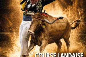 Course landaise