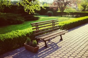 BANC DE L'AMITIE