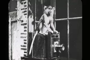 La Co-élaboration artistique des Archives : une œuvre photographique collective, participative et citoyenne.