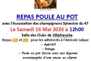Repas poule au pot