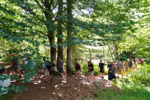Sortie mycologique