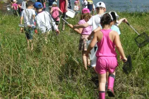 Rendez-vous avec l'Observatoire Loire - Stage nature