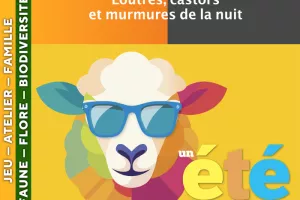 CÉVENNES - Loutres, castors et murmures de la nuit