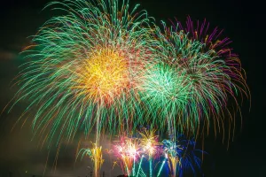 FESTIVAL DE RUE DU 14 JUILLET