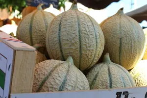 MARCHÉ DE PRODUCTEURS LOCAUX