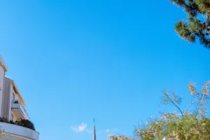 Visite de la Ville de Printemps