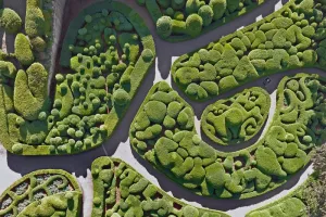 Visite guidée des Jardins de Marqueyssac - Belvédère de la Dordogne
