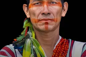 Projection "Gardiens de la forêt Brésil, replanter l'Amazonie"