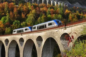 Ligne des hirondelles