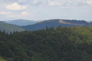 Sortie : Histoire des paysages du Ballon d'Alsace