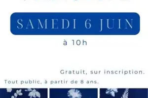 Médiathéque : Atelier cyanotype