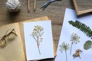 FABRICATION D'UN HERBIER
