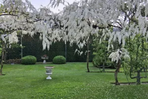 Visite libre du Jardin de Sarton