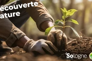 Découvertes Sologne Nature - Journée de la biodiversité "jardins et biodiversité"