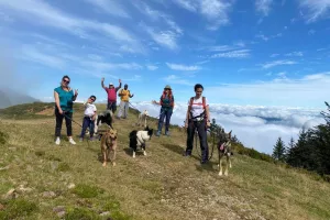 Randonner avec un chien nordique à La Pierre Saint-Martin