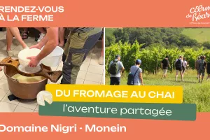 Rendez-vous à la ferme : Du fromage au chai