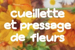 Cueillette et pressage de fleurs au jardin