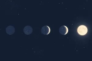 Atelier scientifique - Comprendre les phases de la Lune