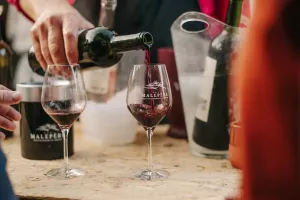LES JEUDIS EN MALEPÈRE 2026 - DOMAINE LA LOUVIÈRE