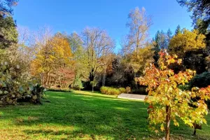 "Rendez-vous aux jardins" Parc Arboretum de Saint- Setiers