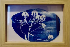 Atelier Cyanotype