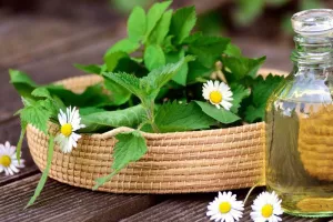 Atelier aromathérapie : l'art de l'équilibre entre corps et esprit