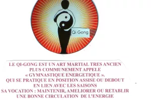 Démonstration de Qi-Gong
