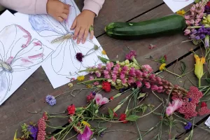 Conte sur les papillons et coloriages végétaux, à la Cueillette de l'Aragnon