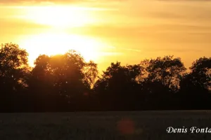 Crépuscule en Retz
