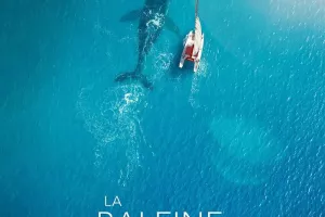 LA BALEINE ET LE MUSICIEN