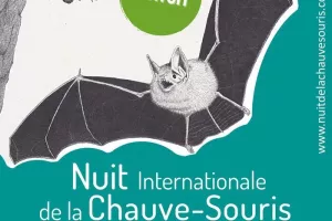 Les mammifères de la nuit