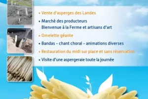 30eme édition de la fête de l'Asperge des Landes