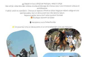 Spectacle rapaces et chevaux