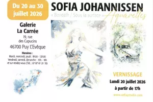 Exposition à la galerie La Carrée : Sofia Johannissen