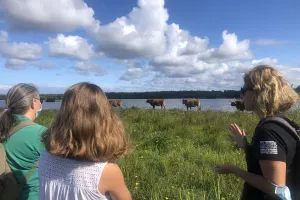Promenade nature: Le tour du lac d'Aureilhan