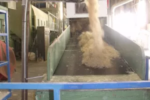 Les Visites du Jeudi > Agrochanvre