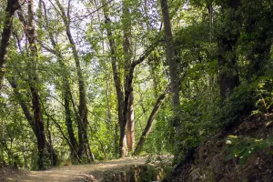 RANDO ACCOMPAGNEE : LE CANAL DE BOHERE ET L'ABBAYE SAINT-MICHEL DE CUXA
