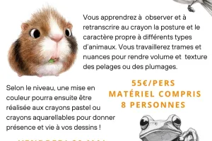 Stage dessin-peinture : Le dessin animalier