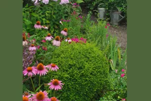 Visite guidée "Le jardin de Michel et Jacqueline"