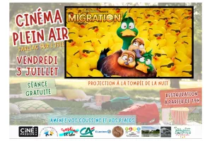 Cinéma en plein air : Migration