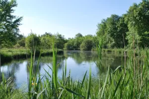 Sortie photo naturaliste avec le Syndicat du Moron