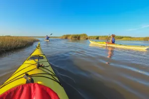 Sortie en kayak de mer - Découverte du delta de l'Eyre et du Bassin d'Arcachon
