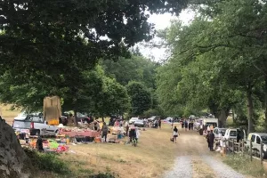 Etang de Chaux : Vide grenier au bord de l'eau