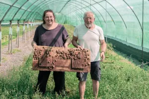 De ferme en ferme : Ferme aux escargots "Routis"