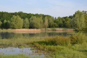 Fête de la Nature - Visite de la Réserve Naturelle Nationale de la Mazière