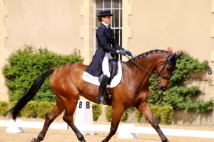 Concours de dressage Pro Elite